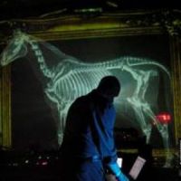 Vitalic